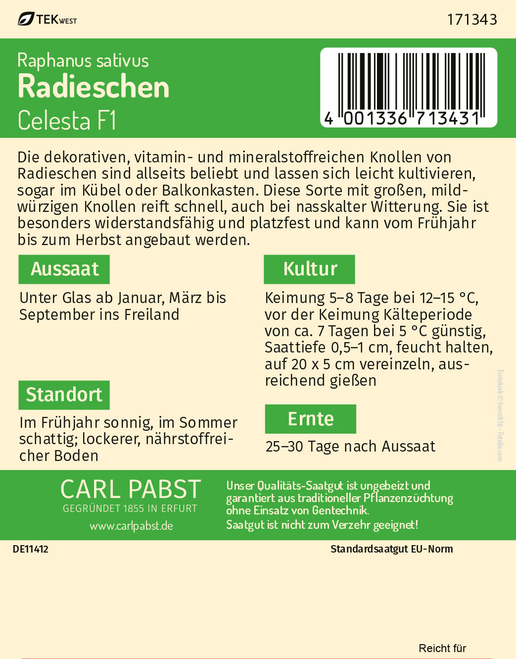 Radieschen platzfest & robust Celesta F1