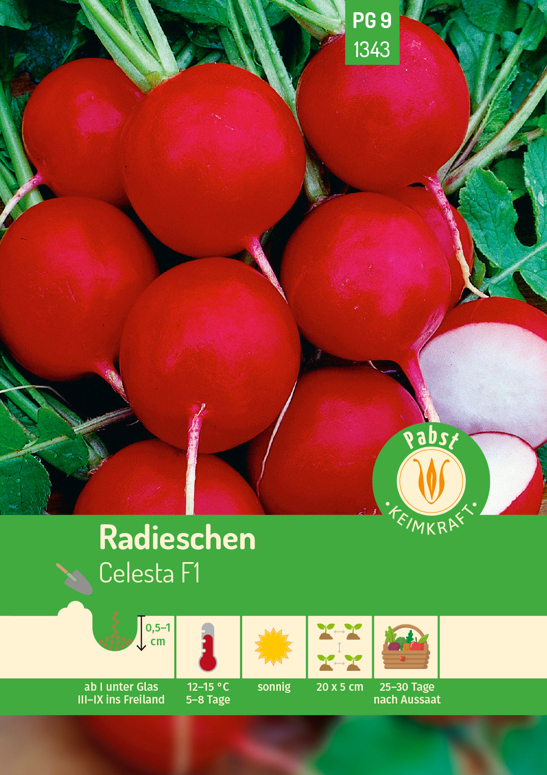 Radieschen platzfest & robust Celesta F1