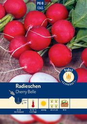 Radieschen raschwüchsig & mild Cherry Belle