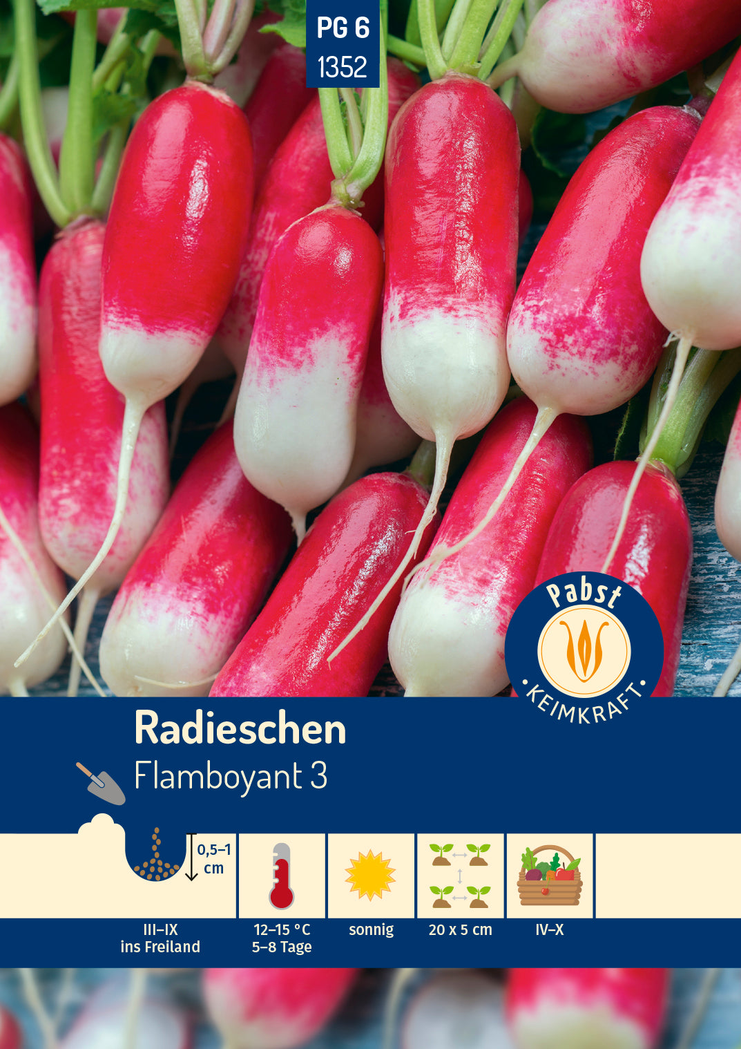 Radieschen lang & zweifarbig Flamboyant 3