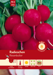 Radieschen rund & groß Riesenbutter