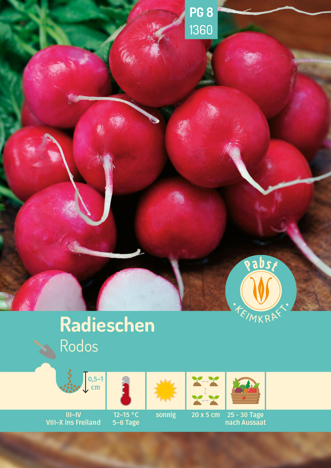 Radieschen früh & platzfest Rodos