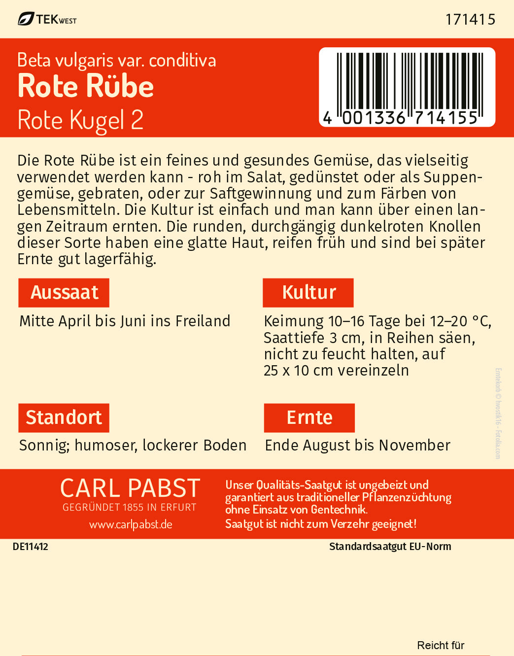 Rote Rübe früh & rund Rote Kugel 2