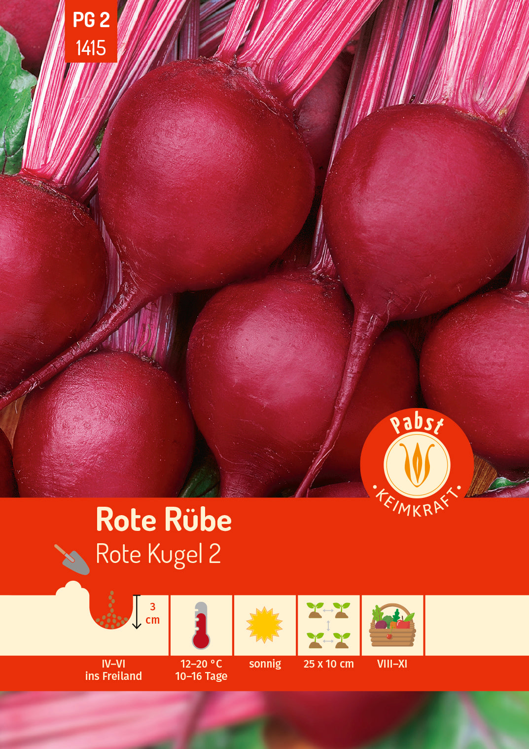 Rote Rübe früh & rund Rote Kugel 2