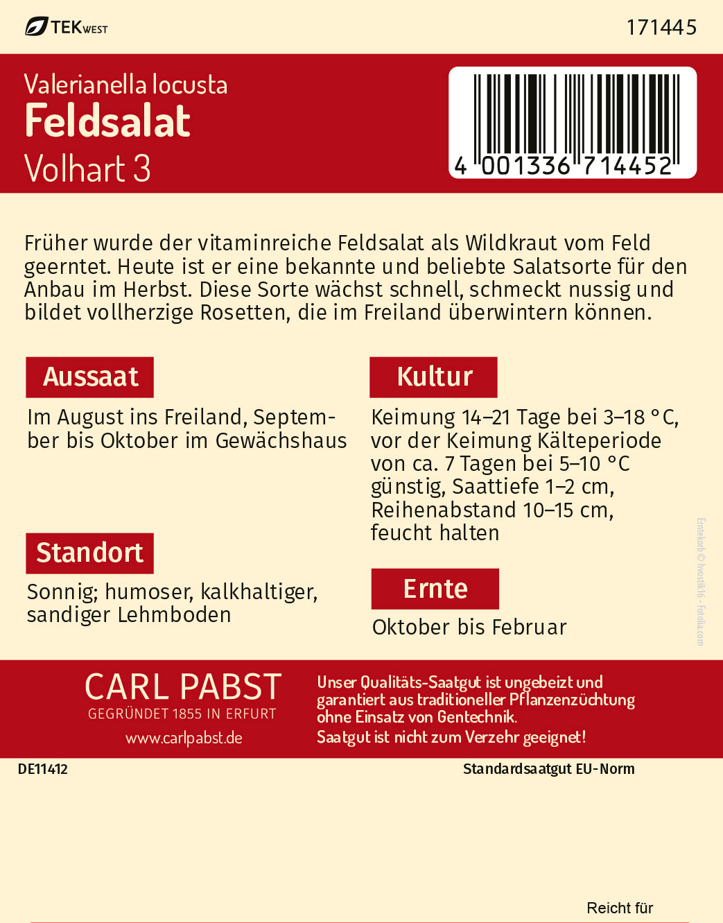 Feldsalat schnellwüchsig & vollherzig Volhart 3