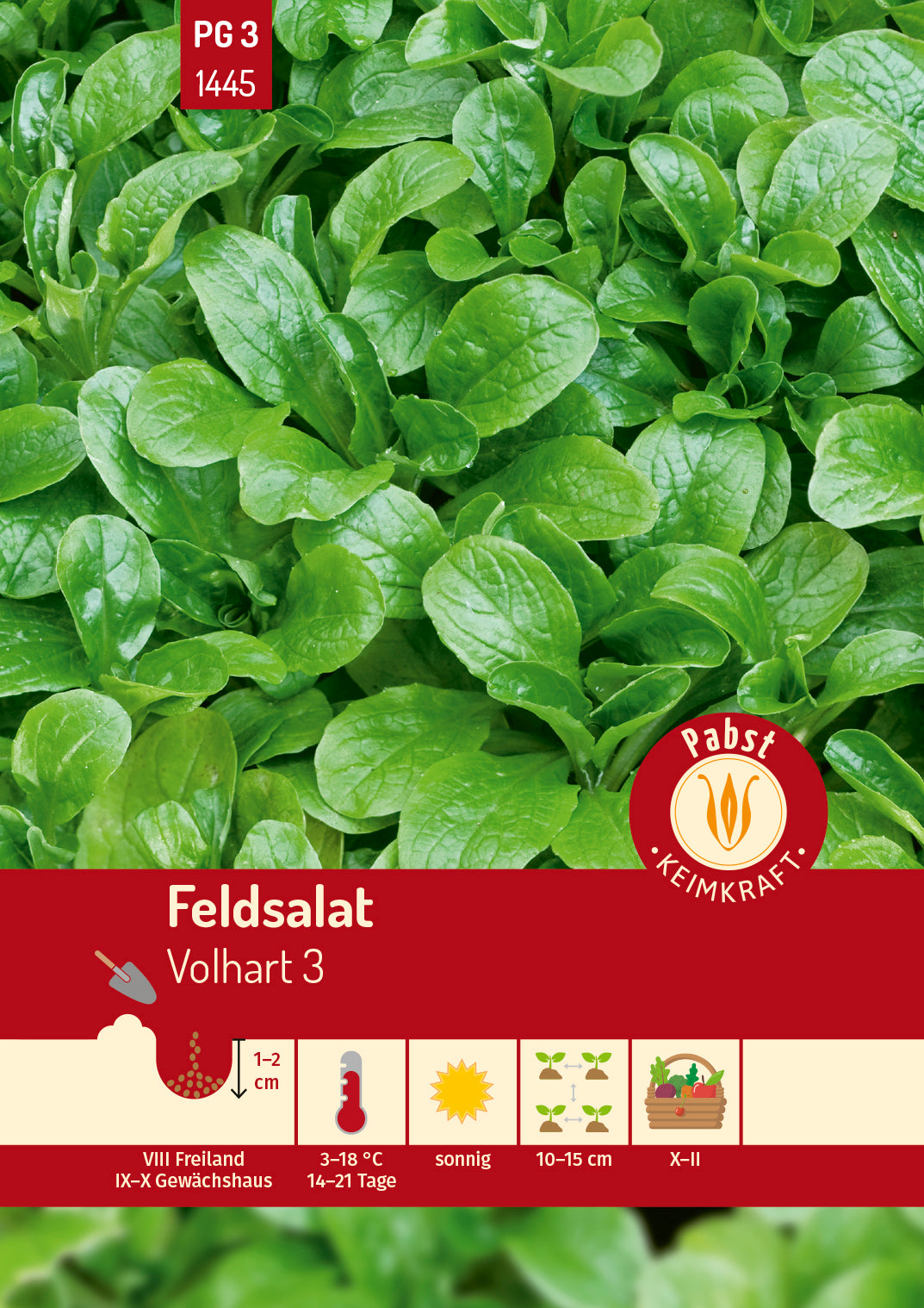 Feldsalat schnellwüchsig & vollherzig Volhart 3