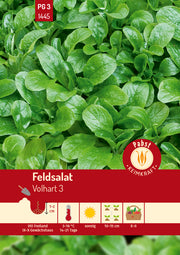 Feldsalat schnellwüchsig & vollherzig Volhart 3