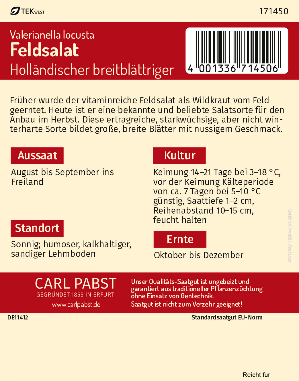 Feldsalat starkwüchsig & breitblättrig Holländischer breitblättriger