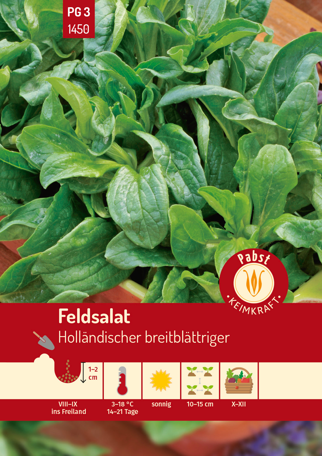 Feldsalat starkwüchsig & breitblättrig Holländischer breitblättriger