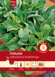 Feldsalat starkwüchsig & breitblättrig Holländischer breitblättriger
