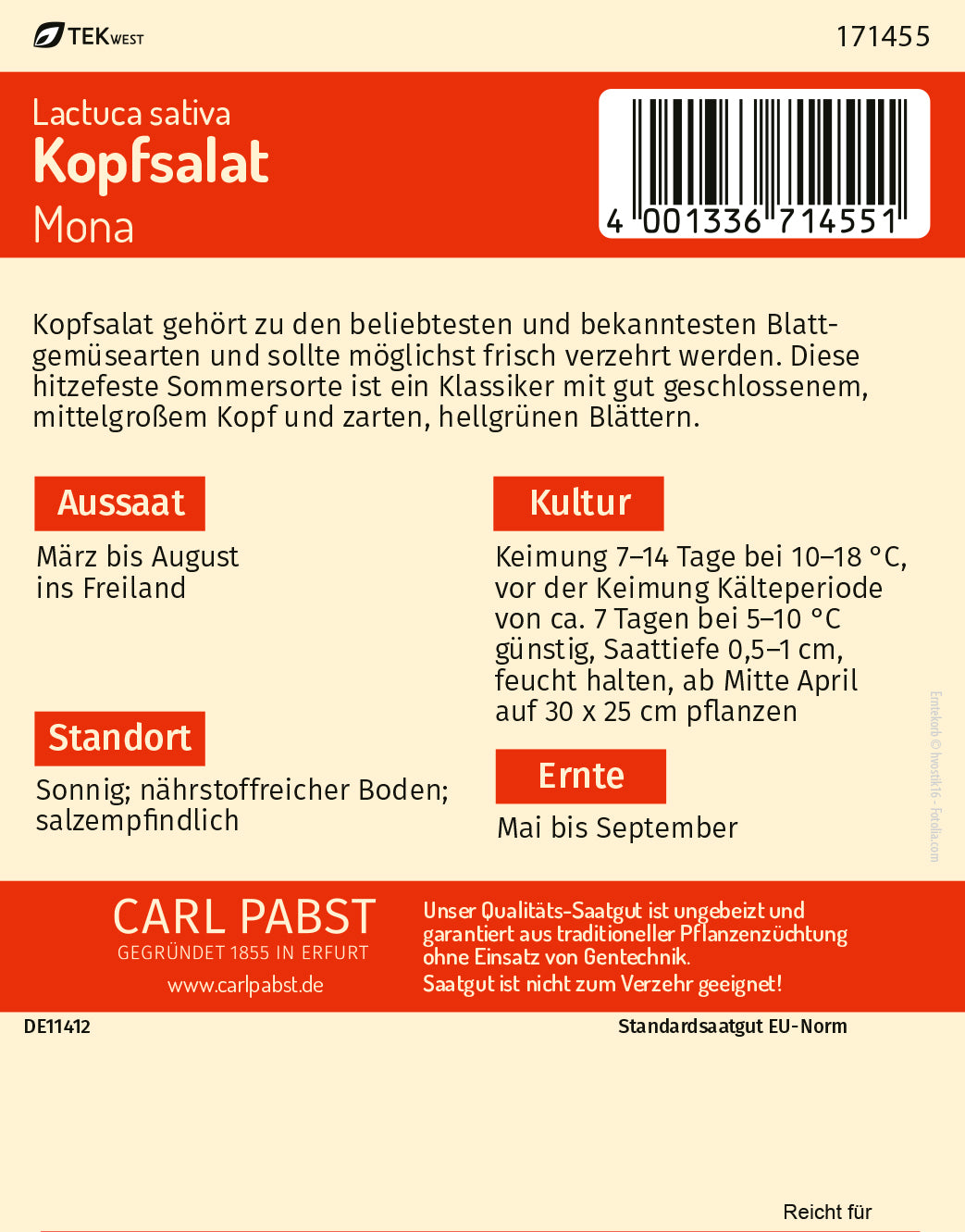 Kopfsalat robust & hitzebeständig Mona