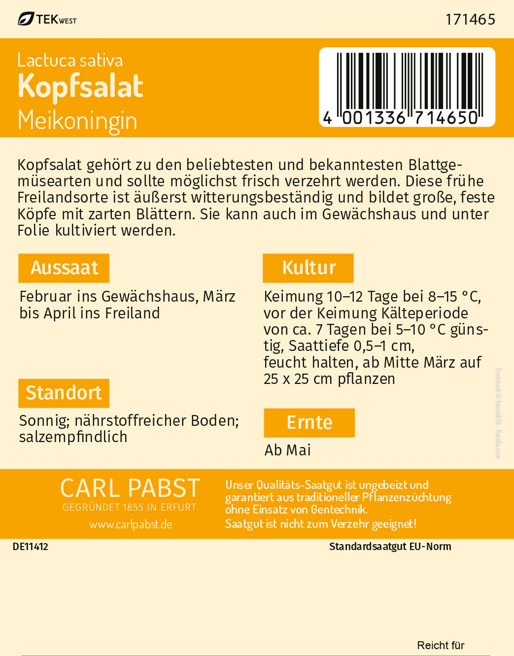 Kopfsalat früh & treibfähig Meikoningin