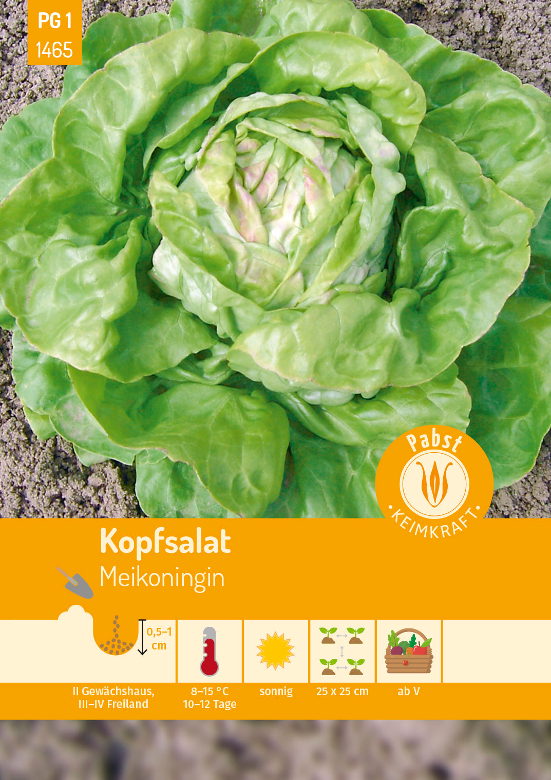 Kopfsalat früh & treibfähig Meikoningin