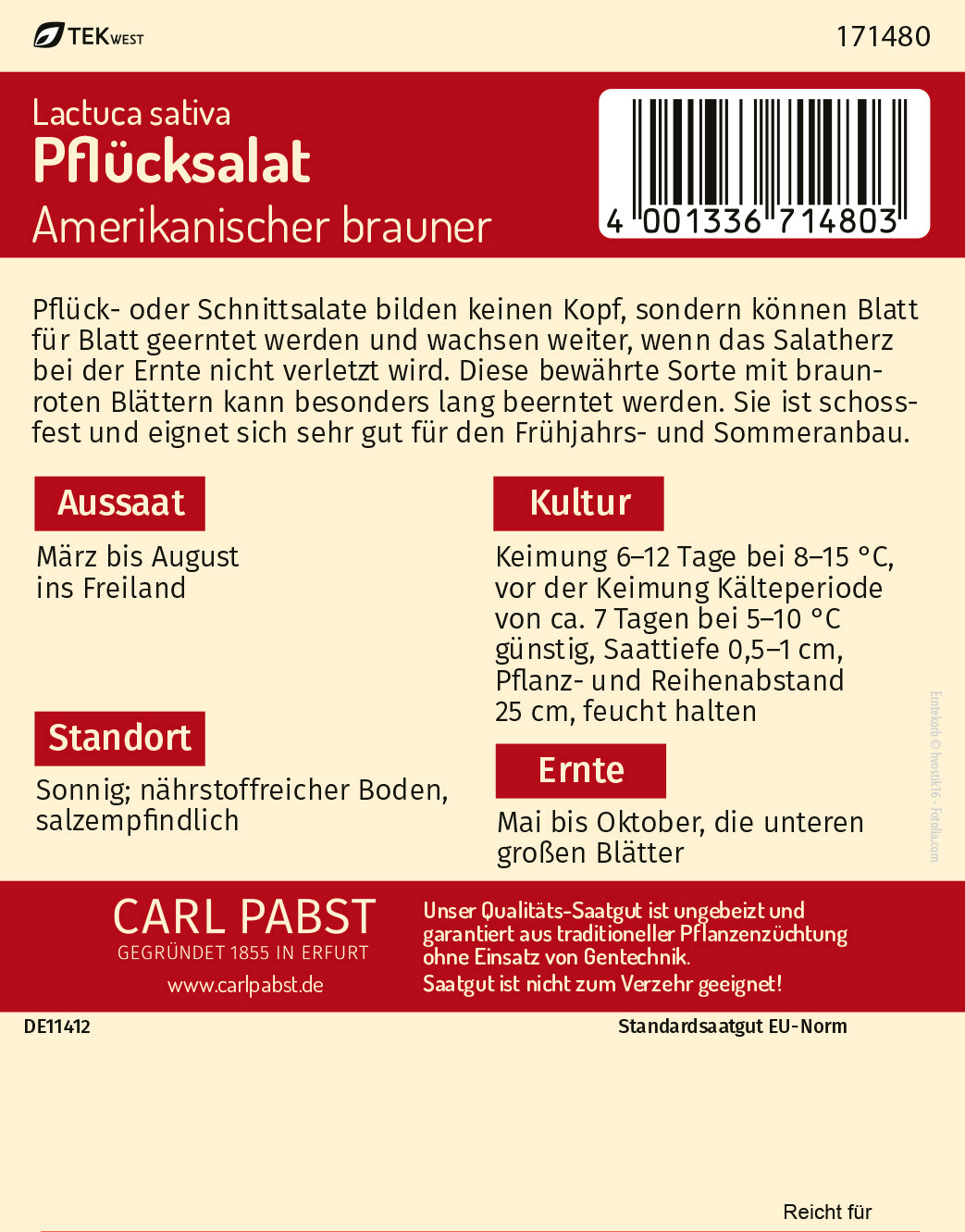 Pflücksalat spätschossend & buntblättrig Amerikanischer Brauner