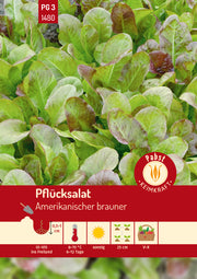 Pflücksalat spätschossend & buntblättrig Amerikanischer Brauner