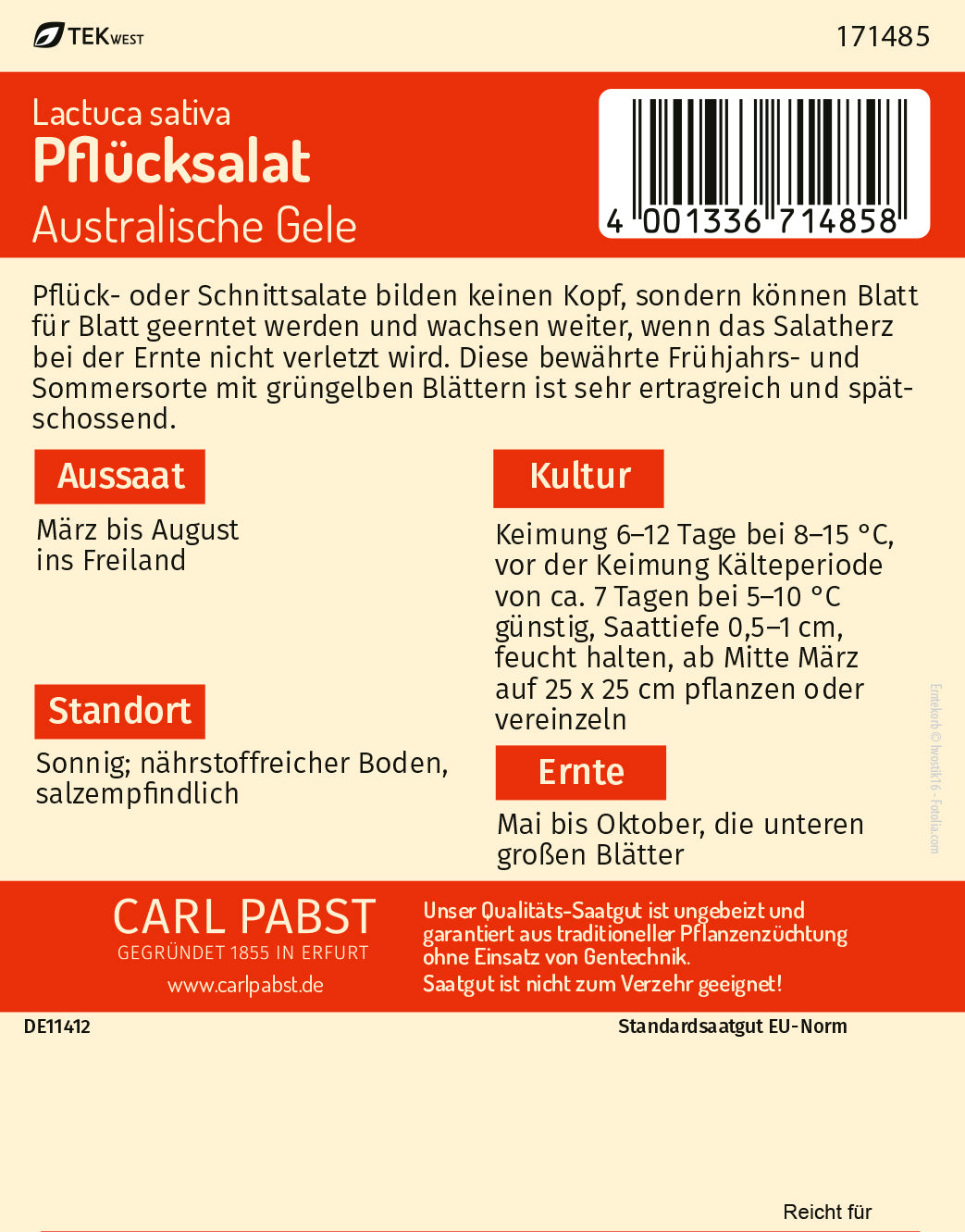 Pflücksalat spätschossend & ertragreich Australische Gele