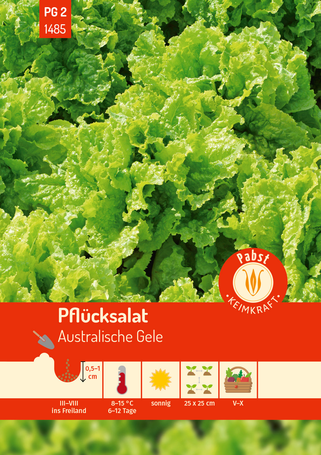 Pflücksalat spätschossend & ertragreich Australische Gele