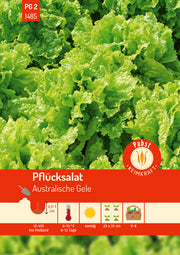 Pflücksalat spätschossend & ertragreich Australische Gele