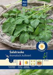 Salatrauke Aromatisch kultiviert