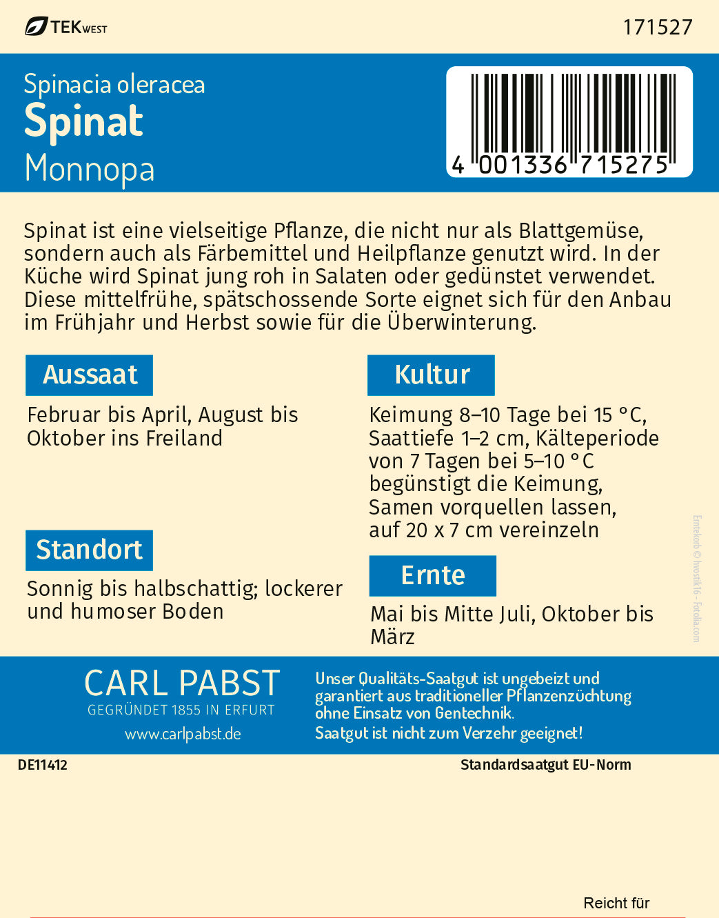 Spinat schossfest & winterhart Monnopa