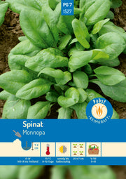 Spinat schossfest & winterhart Monnopa