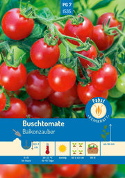 Buschtomate früh & robust Balkonzauber