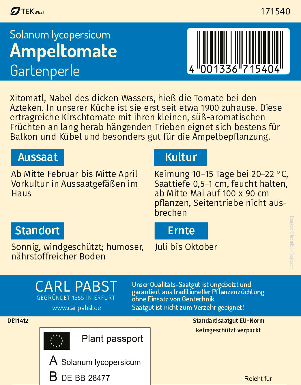 Ampeltomate kleinfrüchtig & aromatisch Gartenperle