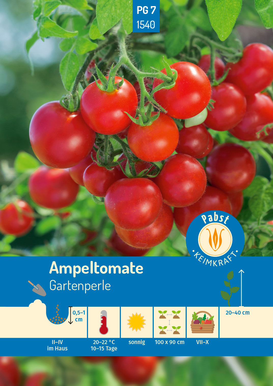 Ampeltomate kleinfrüchtig & aromatisch Gartenperle