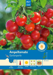 Ampeltomate kleinfrüchtig & aromatisch Gartenperle