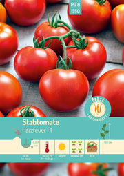 Stabtomate sehr früh & widerstandsfähig Harzfeuer F1