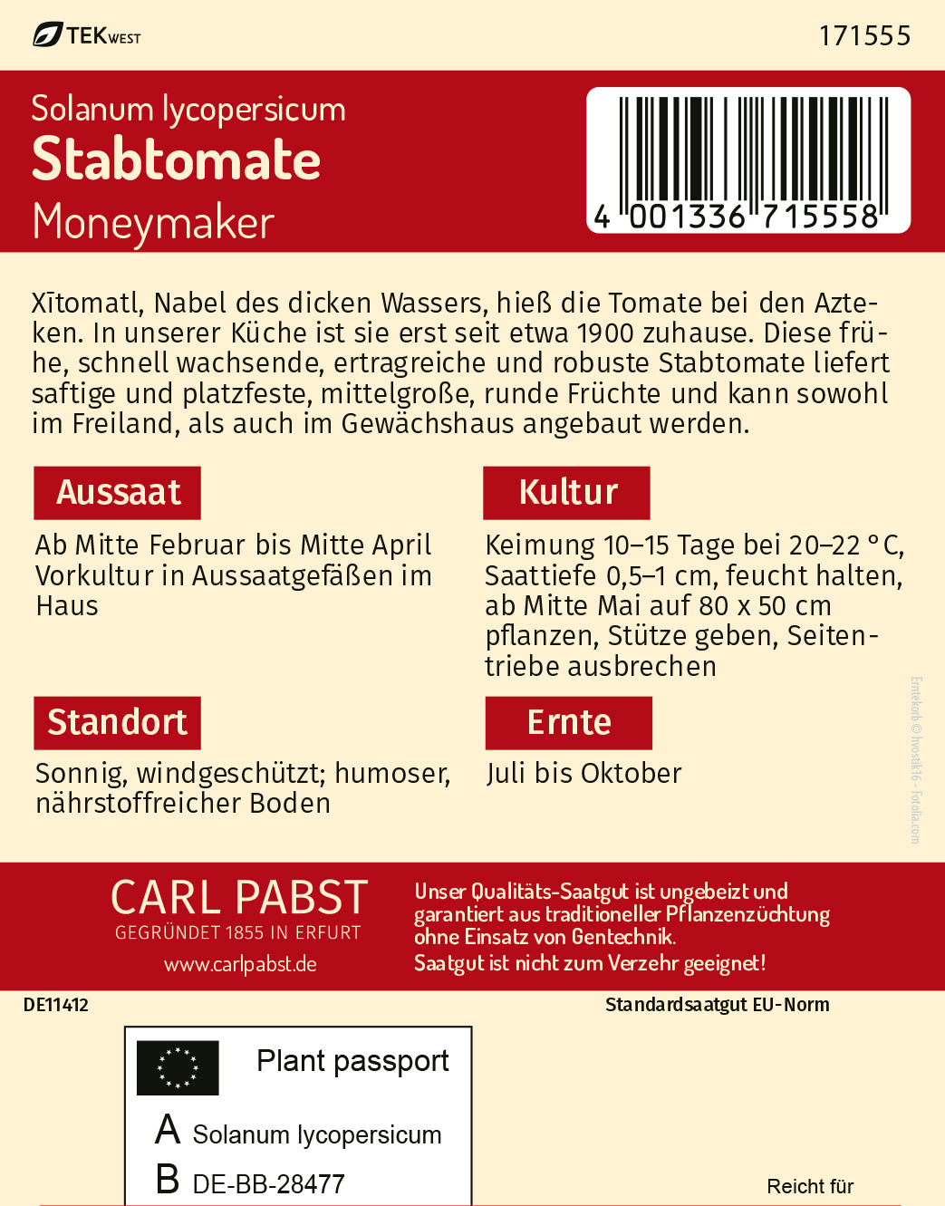 Stabtomate früh & platzfest Moneymaker