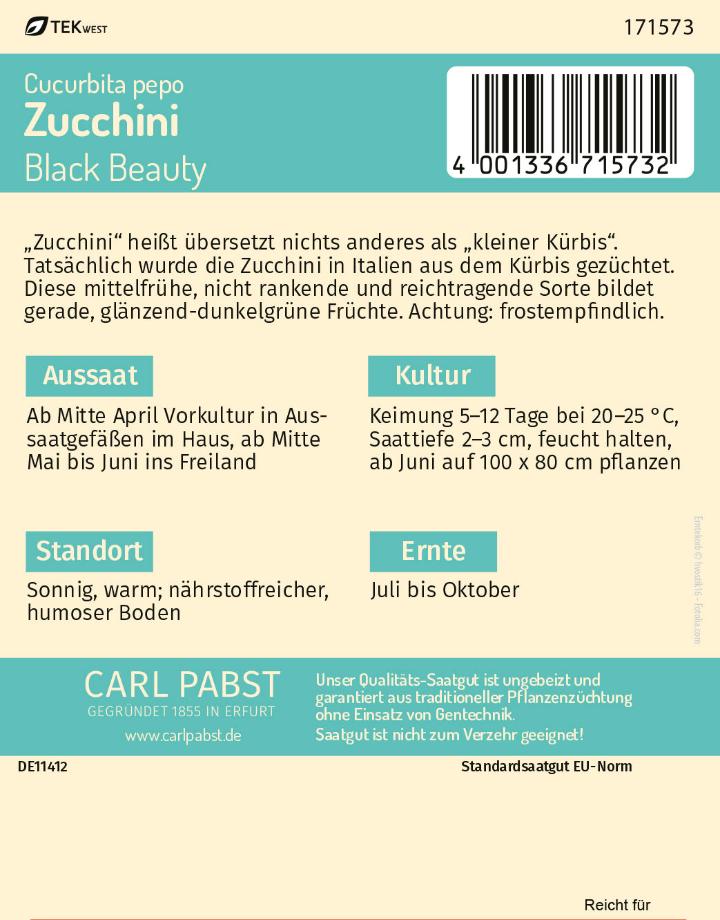 Zucchini mittelfrüh & ertragreich Black Beauty