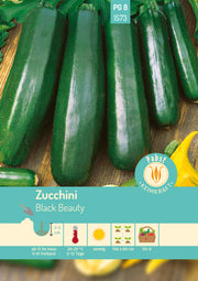 Zucchini mittelfrüh & ertragreich Black Beauty