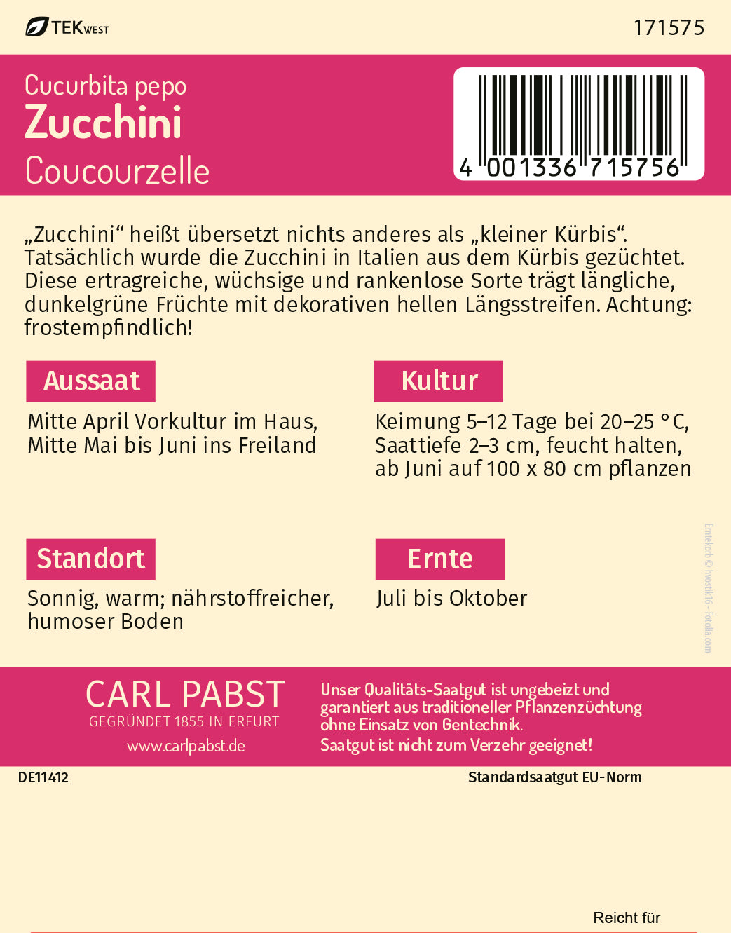 Zucchini wüchsig & rankenlos Coucourzelle