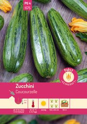Zucchini wüchsig & rankenlos Coucourzelle