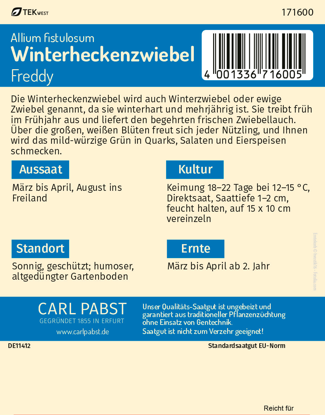 Winterheckenzwiebel mehrjährig & mildwürzig