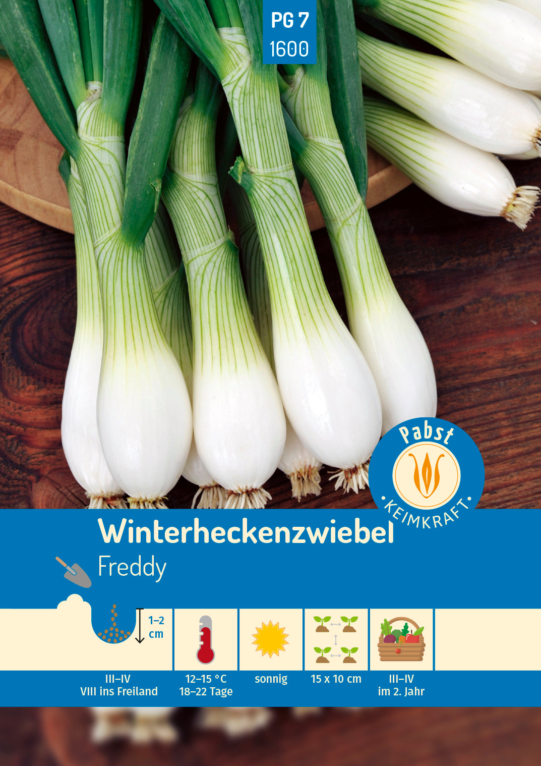 Winterheckenzwiebel mehrjährig & mildwürzig