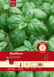 Basilikum Genoveser