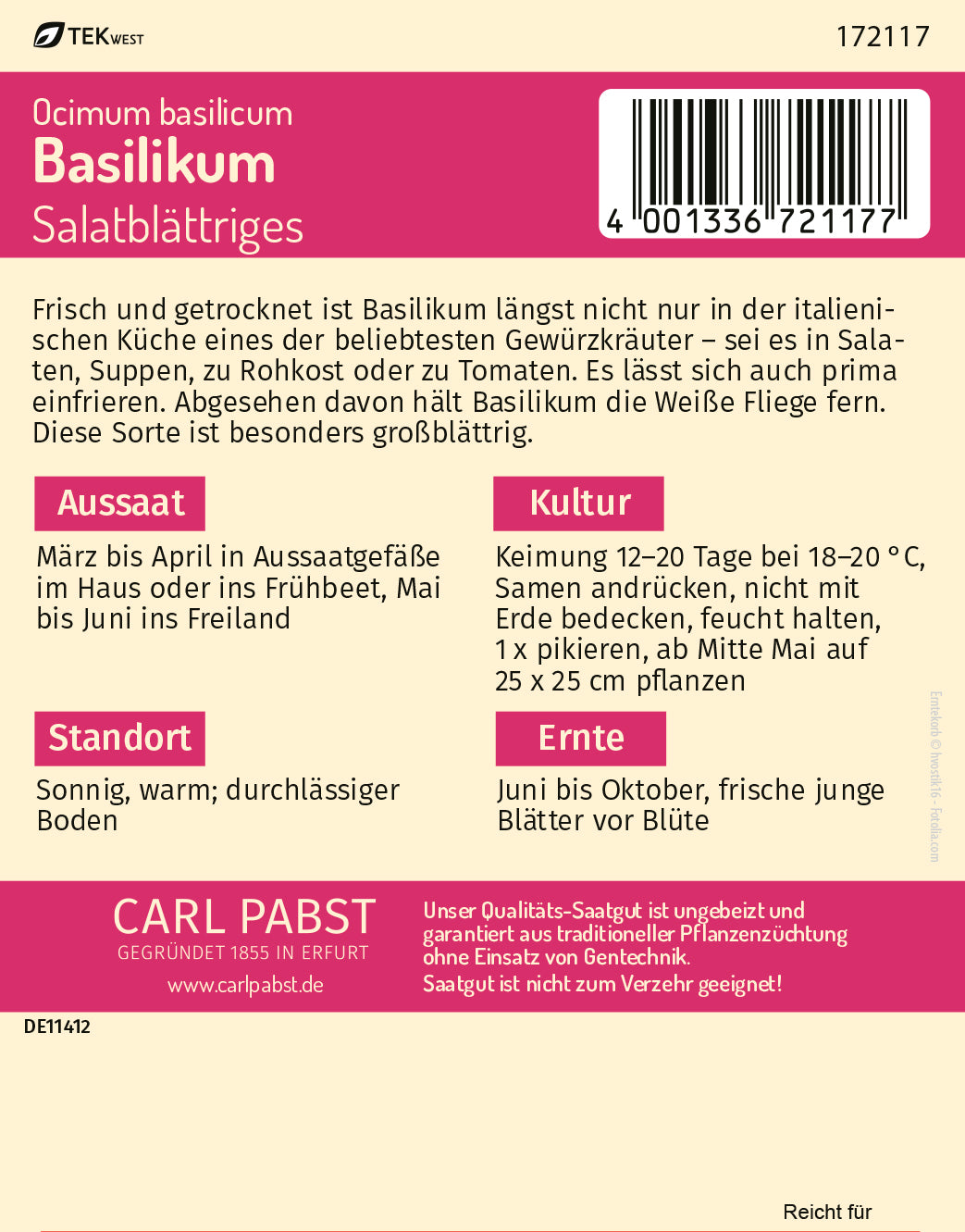 Basilikum salatblättrig & aromatisch