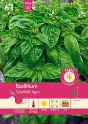 Basilikum salatblättrig & aromatisch