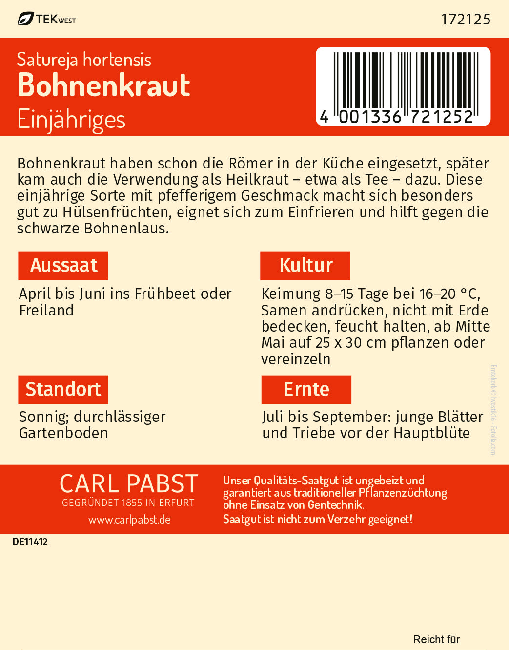 Bohnenkraut Einjähriges