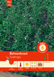 Bohnenkraut Einjähriges