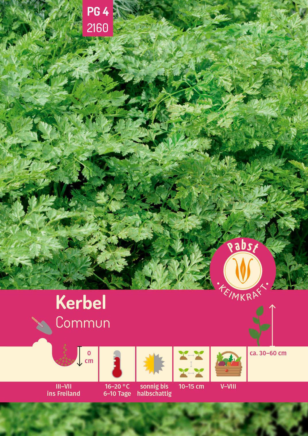 Kerbel krausblättrig & aromatisch Commun