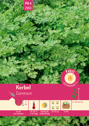 Kerbel krausblättrig & aromatisch Commun