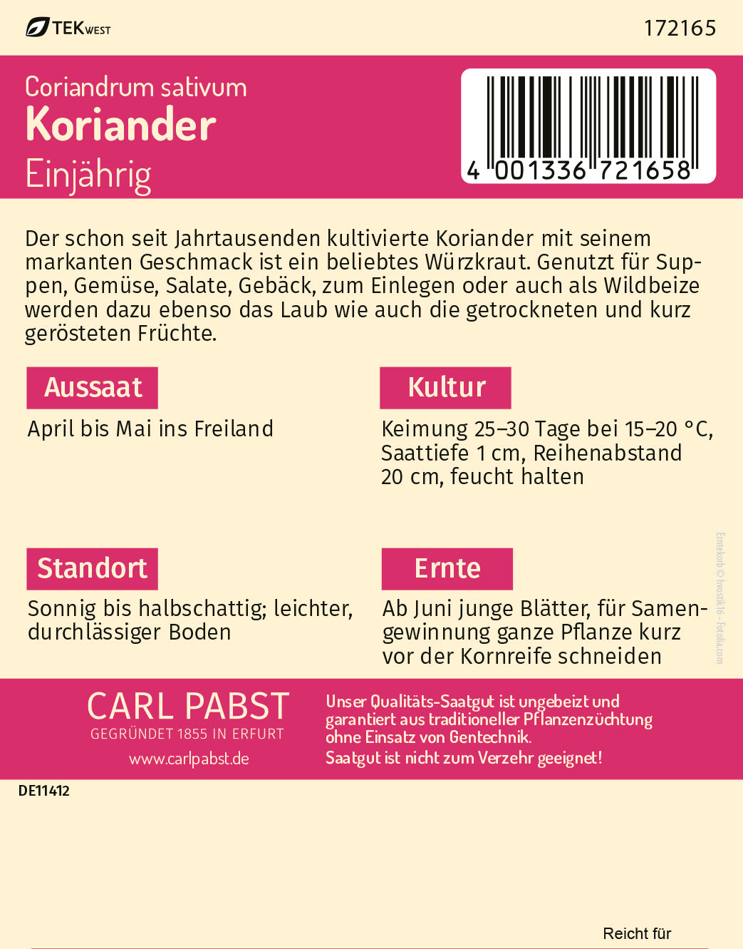 Koriander einjährig & feinwürzig