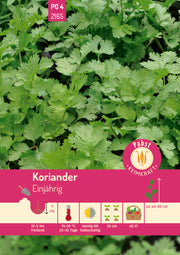 Koriander einjährig & feinwürzig