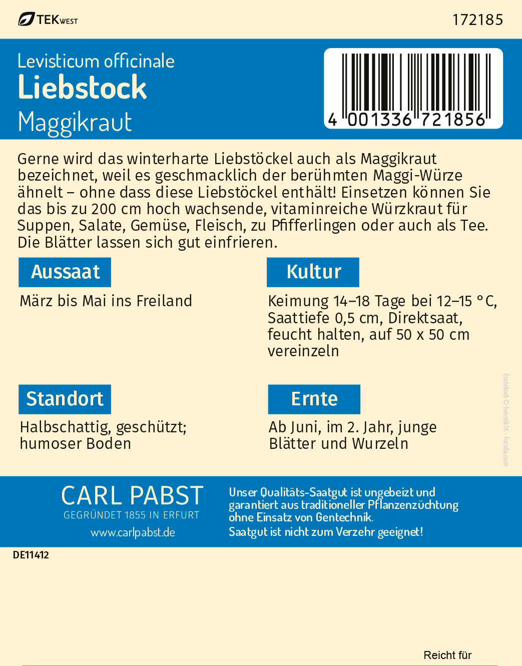 Liebstock Maggikraut