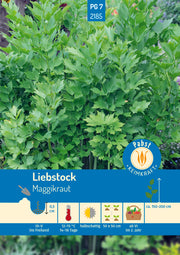 Liebstock Maggikraut