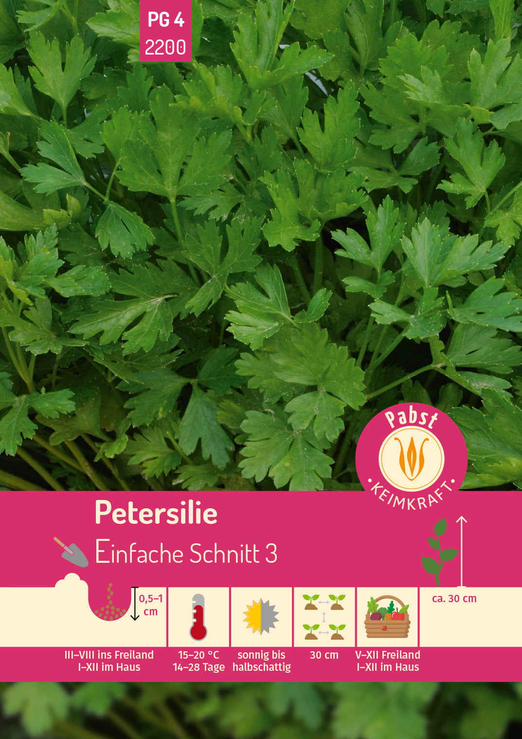 Petersilie glattblättrig & vielseitig Einfache Schnitt 3