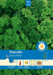 Petersilie gekraust & treibfähig Grüne Perle